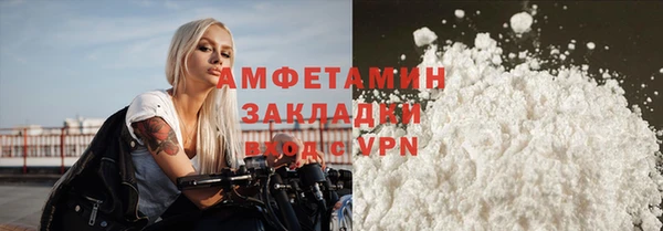 индика Волосово