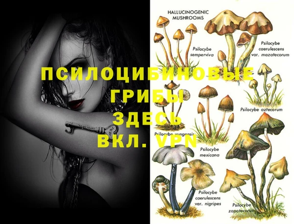 а пвп мука Верхний Тагил