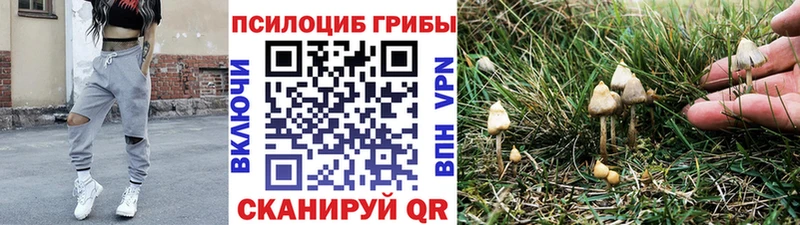 Псилоцибиновые грибы ЛСД  Луга 
