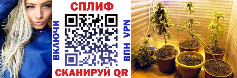 Каннабис THC 21%  купить наркотики сайты  Луга 
